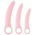 Smile Vaginal Trainers - Vaginal Trainer Set in 3 Sizes (Pelvic Floor Strengthener)