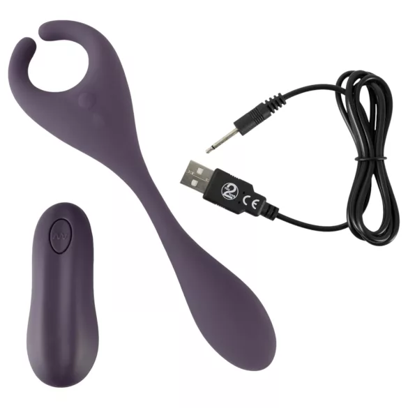 Couples Choice - Rechargeable Dual Motor Vibrator with Radio (Purple)