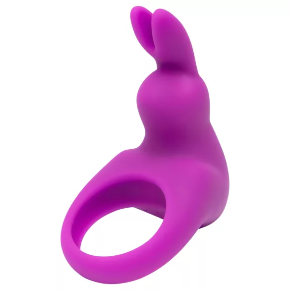 Happyrabbit Pleasure Pack - Vibrating Ring with Storage (Purple)