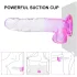 Sunfo - Suction Cup Dildo with Balls - 22cm (Clear Purple)