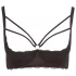 Cottelli Plus Size - Strappy Ringed Lift Bra (Black) - 85E