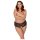 Cottelli Curves - Open Lace Panty (Black) - XL