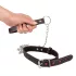 Bad Kitty - Heart Collar and Metal Leash (Black)