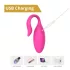 Sweet Play - App-controlled vibrating egg (pink)
