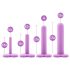 Blush Wellness - Vaginal Dilator Set (Purple)