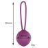Engily Ross Leigh - Silicone Kegel Balls (Purple)
