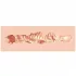XKIN - lifelike artificial mouth masturbator - S (natural)