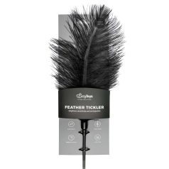 EasyToys - Long Feather Teaser (Black)