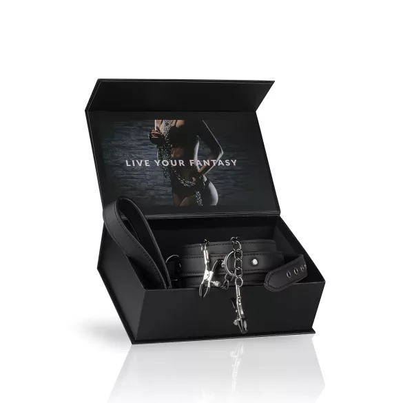 Easytoys - 4-Piece Nipple Clamp, Collar & Leash Set