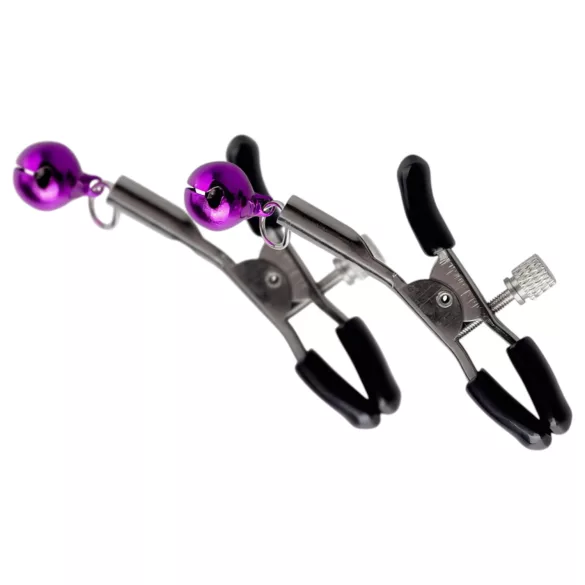 Secret Pleasure Chest - Advanced BDSM Kit (14‑Piece)