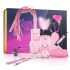 Advanced BDSM Set - 14-Piece Secret Pleasure Chest (Pink)