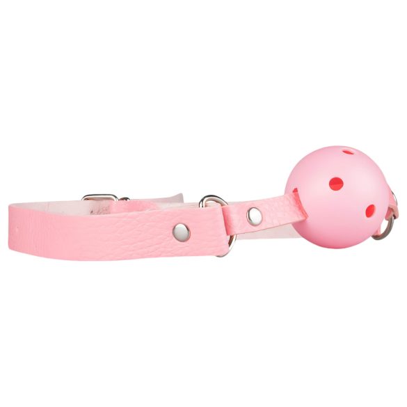 Advanced BDSM Set - 14-Piece Secret Pleasure Chest (Pink)