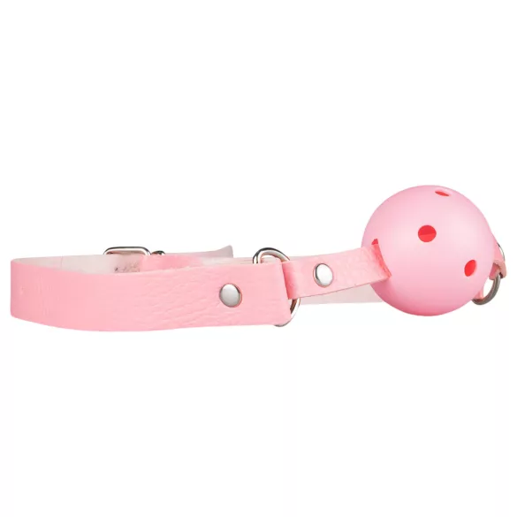 Secret Pleasure Chest - Advanced BDSM Kit - 14‑Piece (Pink)