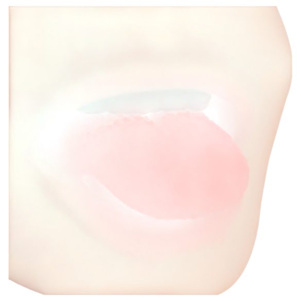 FWB - Lily Brooks 2-in-1 Realistic Mouth and Vagina (Natural)