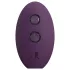 Glam - anal vibrator with remote control (purple)