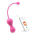 Magic Motion Kegel Master - Smart Kegel Ball Duo (pink)