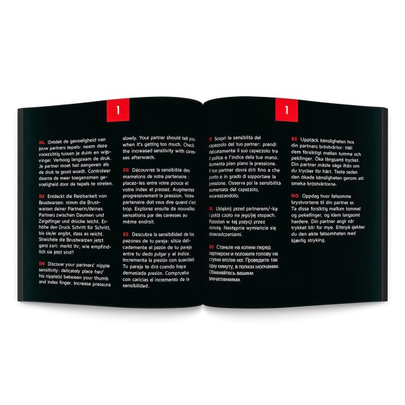 Kinky Fun Roulette - Adult Party Game (10 Languages)