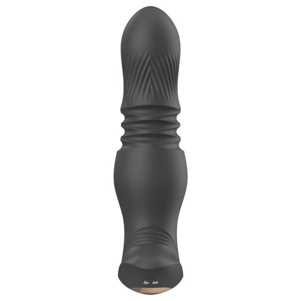 Aixiasia Roy - Wireless Rechargeable Anal Vibrator (Black)