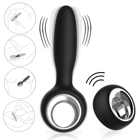 Aixiasia Dylon Remote - Black Rechargeable Wireless Anal Vibrator