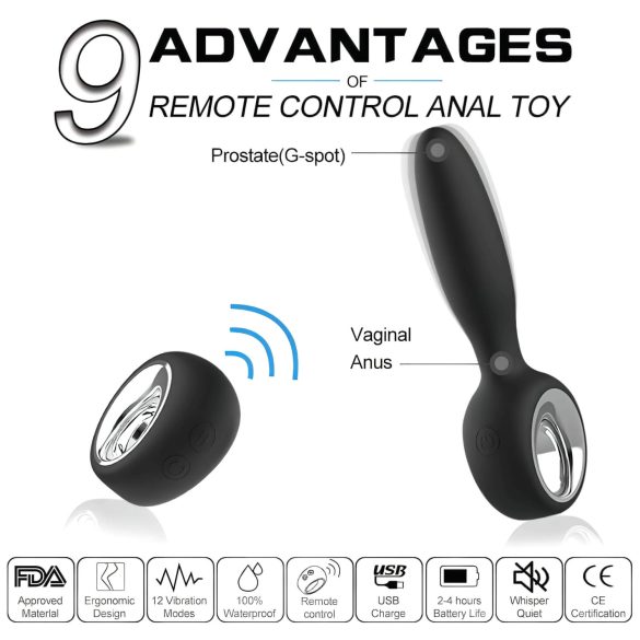 Aixiasia Dylon Remote - Black Rechargeable Wireless Anal Vibrator