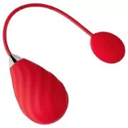 Egg vibrator